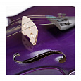 Stefan Poladic TL001 Purple 4/4